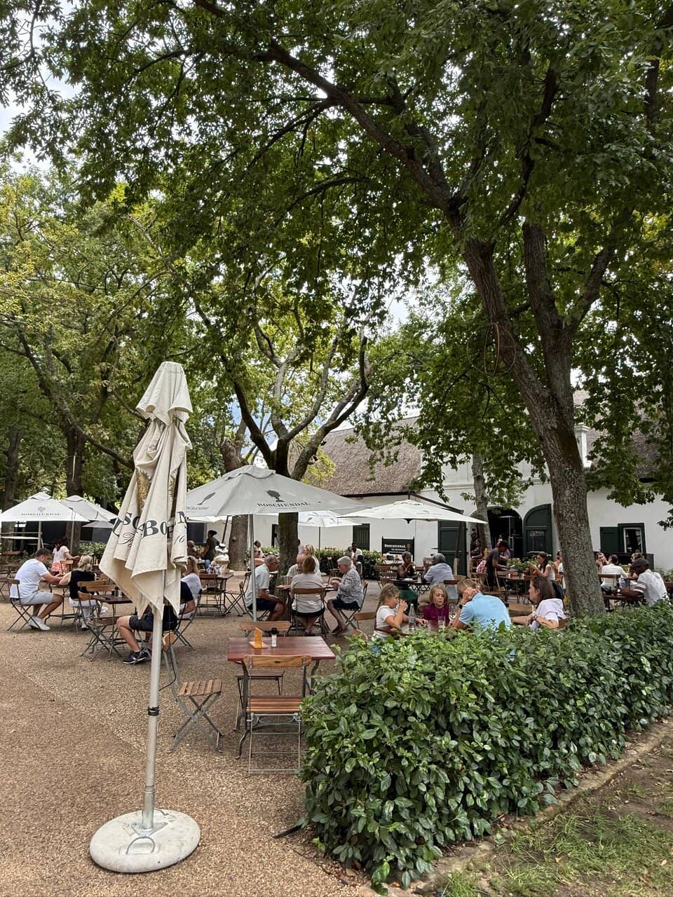 Charming Garden Ambiance