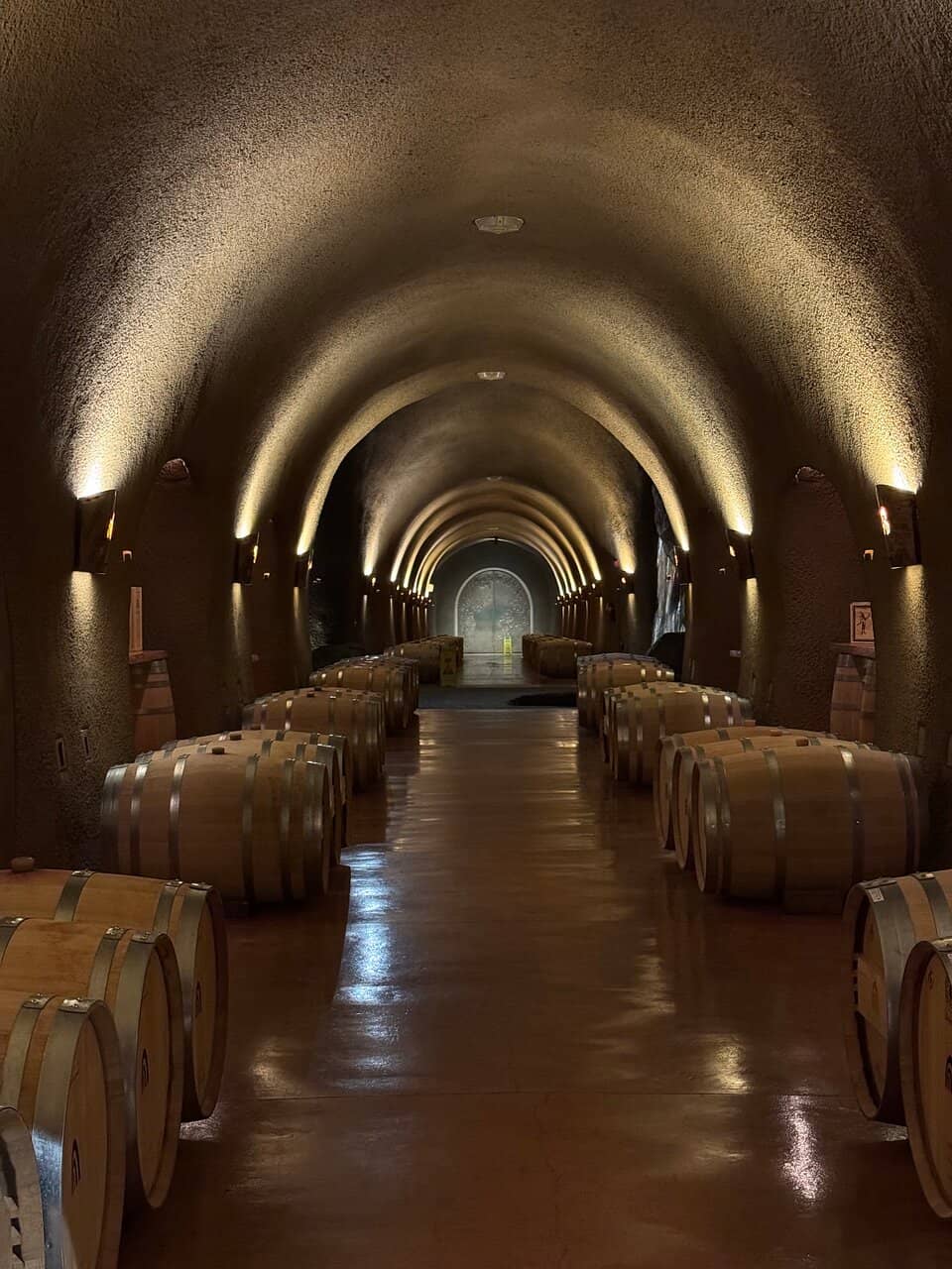 Knowledgeable and Friendly Staff