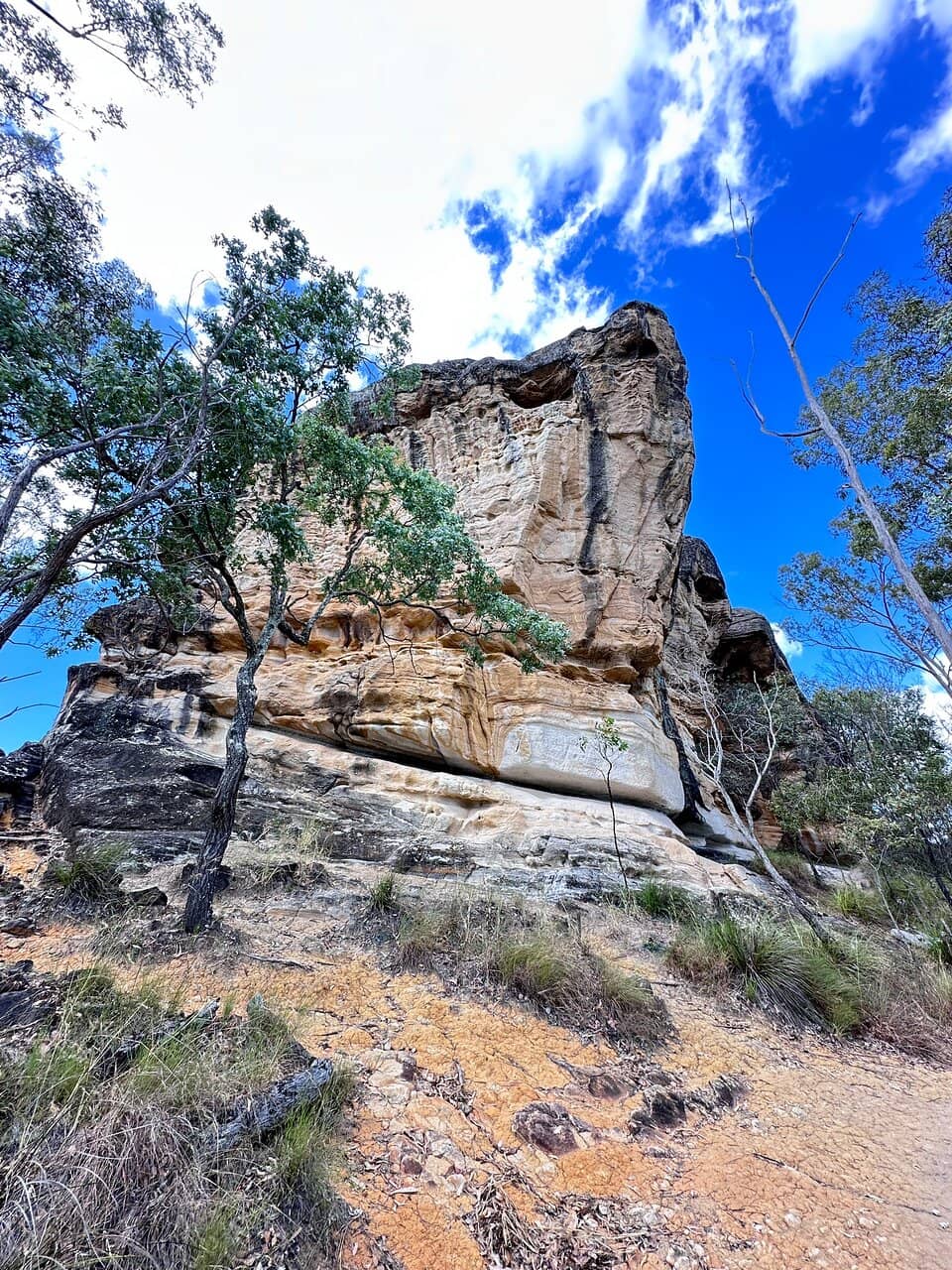 Vertical photo
