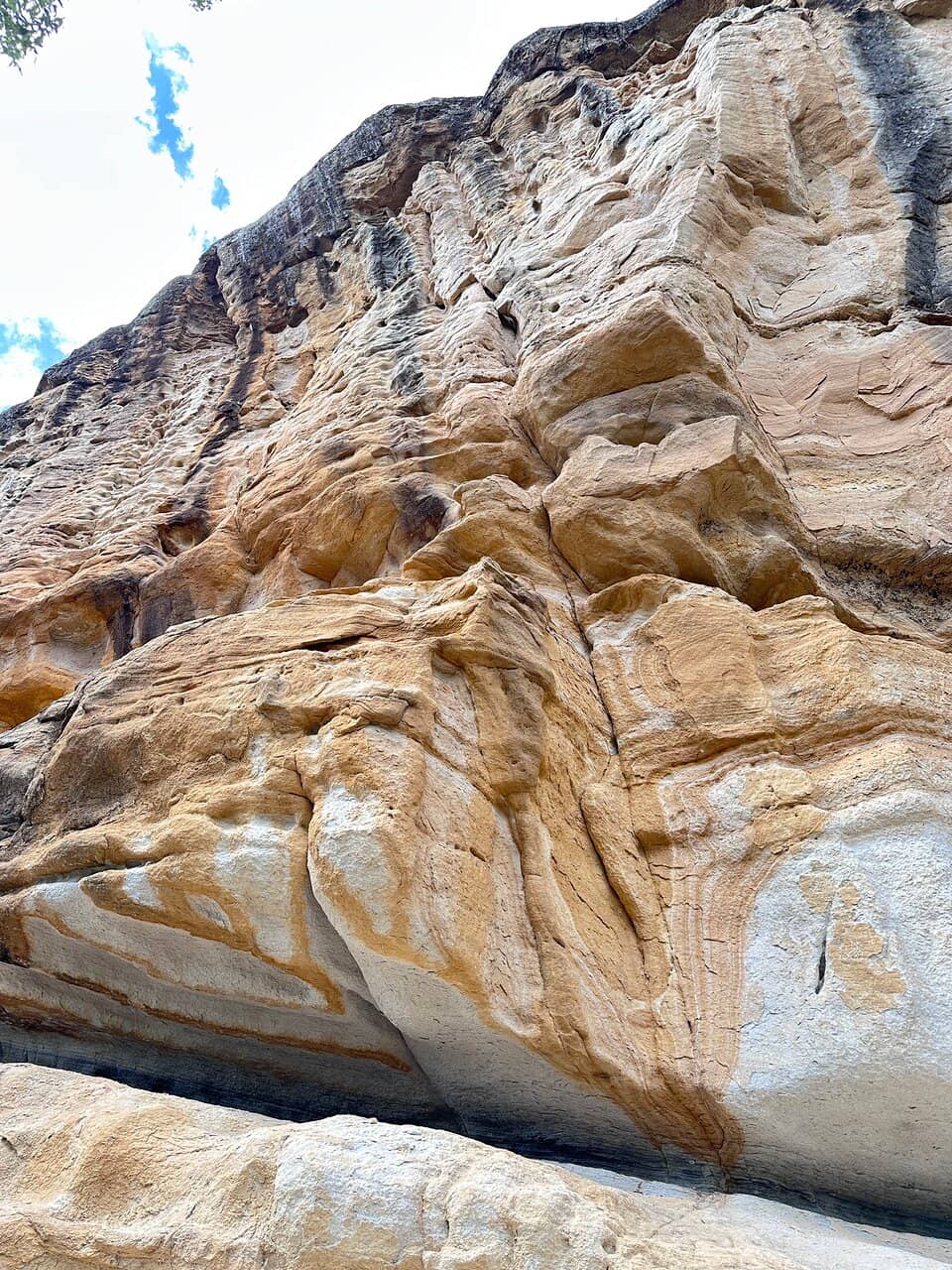 Yaddamun Trail