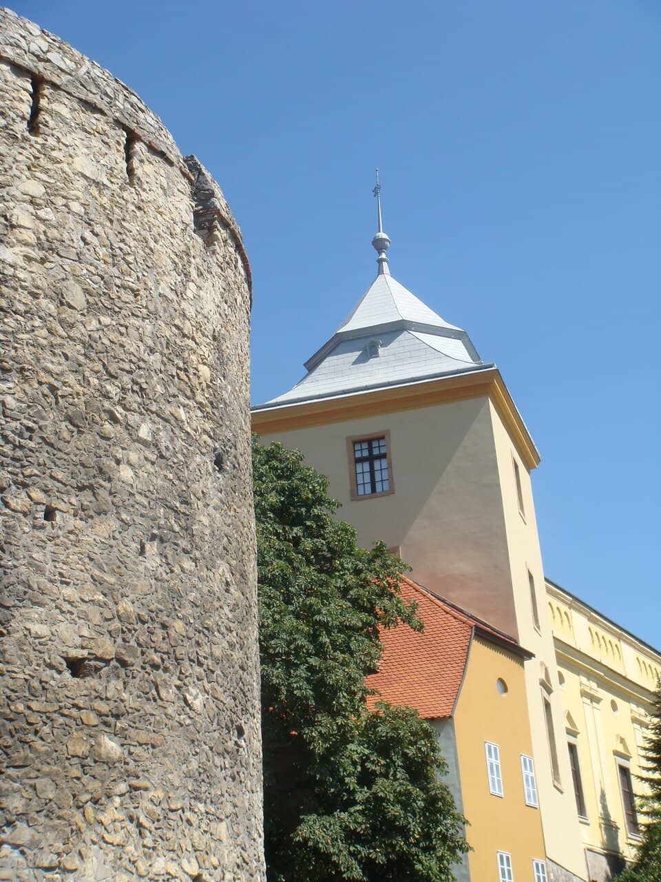 Vertical photo