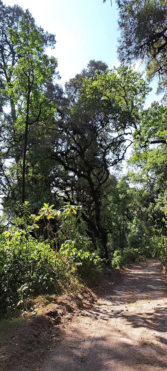 Moru Campsite Experience