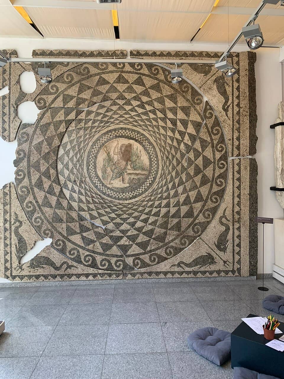 Europe's Longest Snake