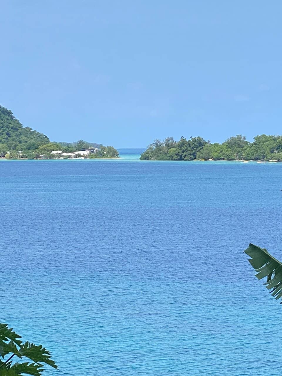 Snorkeling & Marine Life