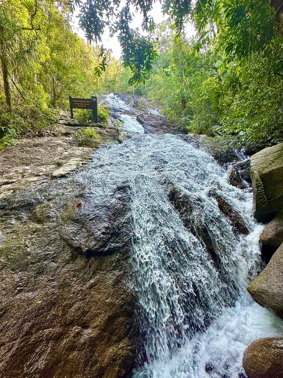 Jungle Hiking Trails