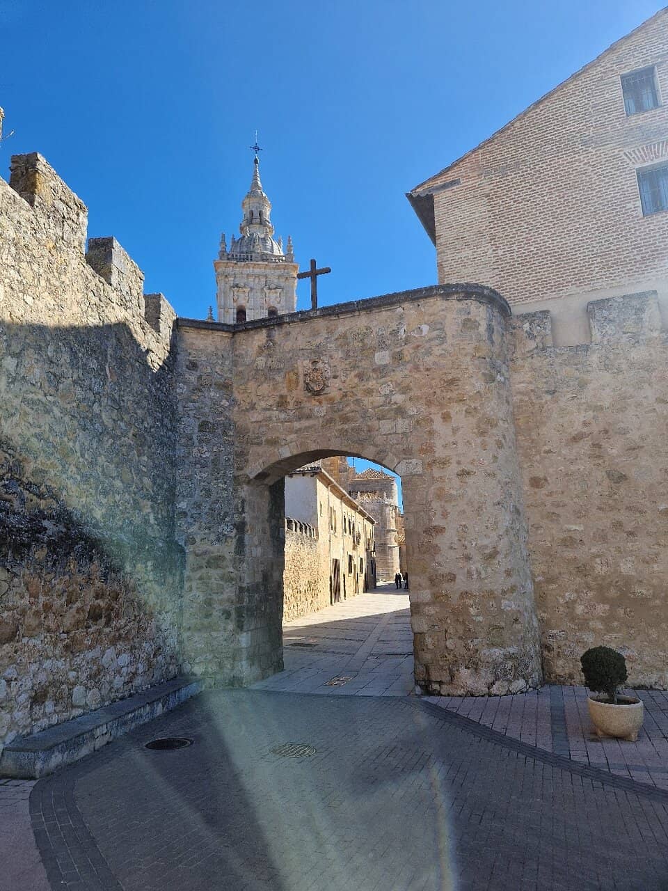 Vertical photo