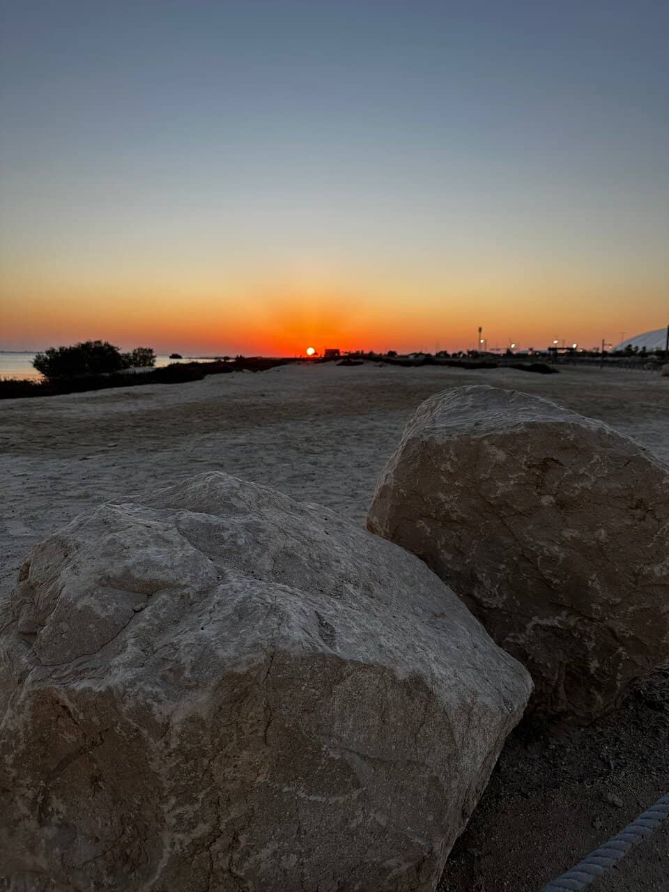 Circuit X Adventure Park