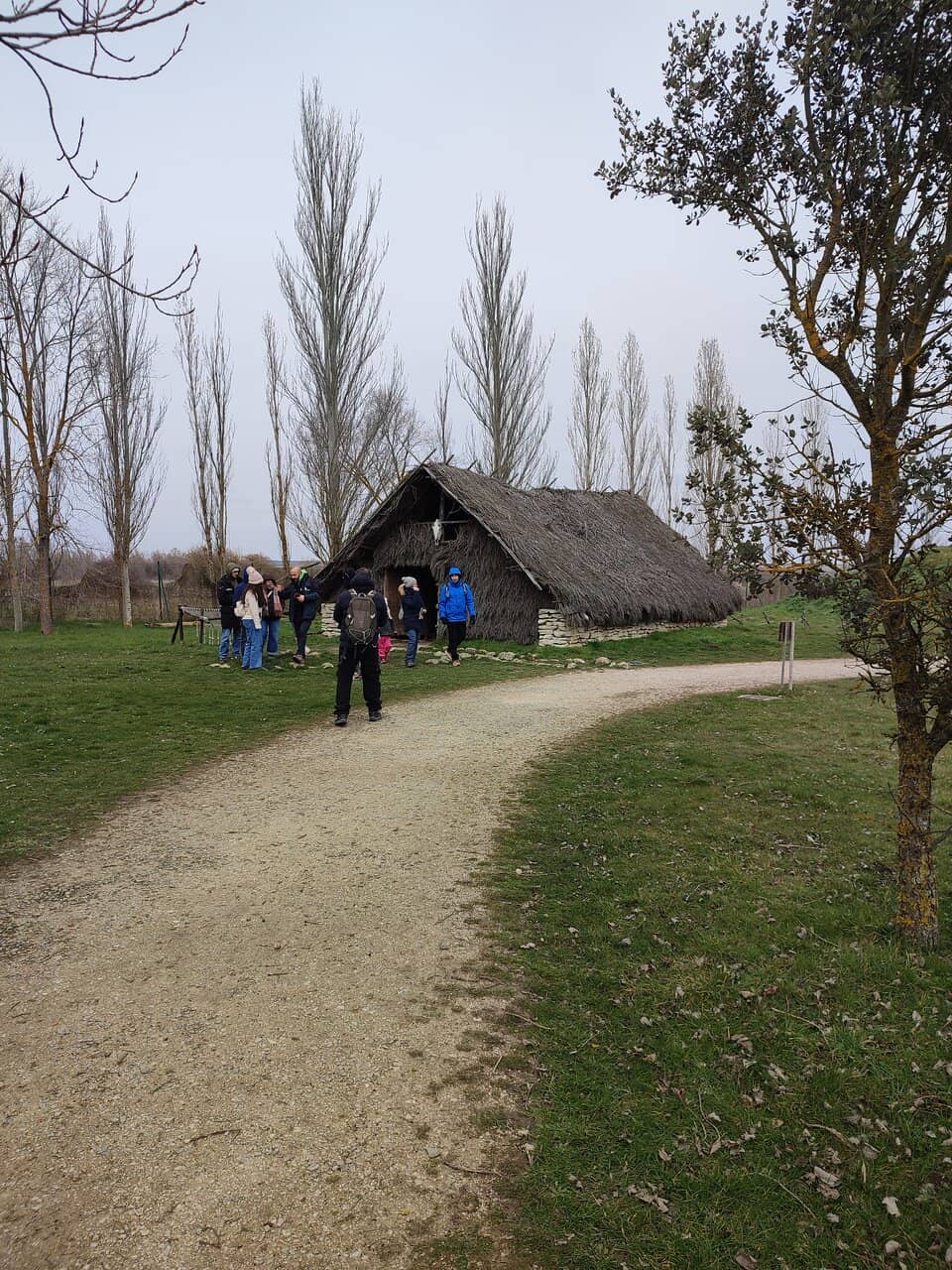 Archaeological Excavation Site Visit