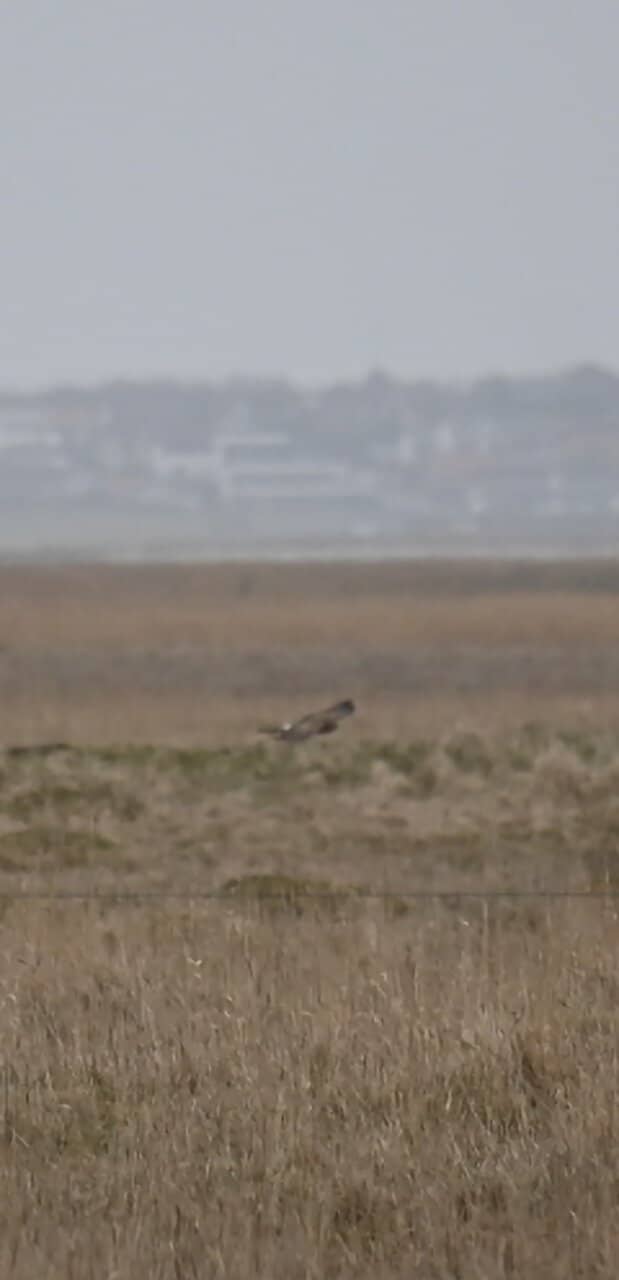 Historic Rescue Station