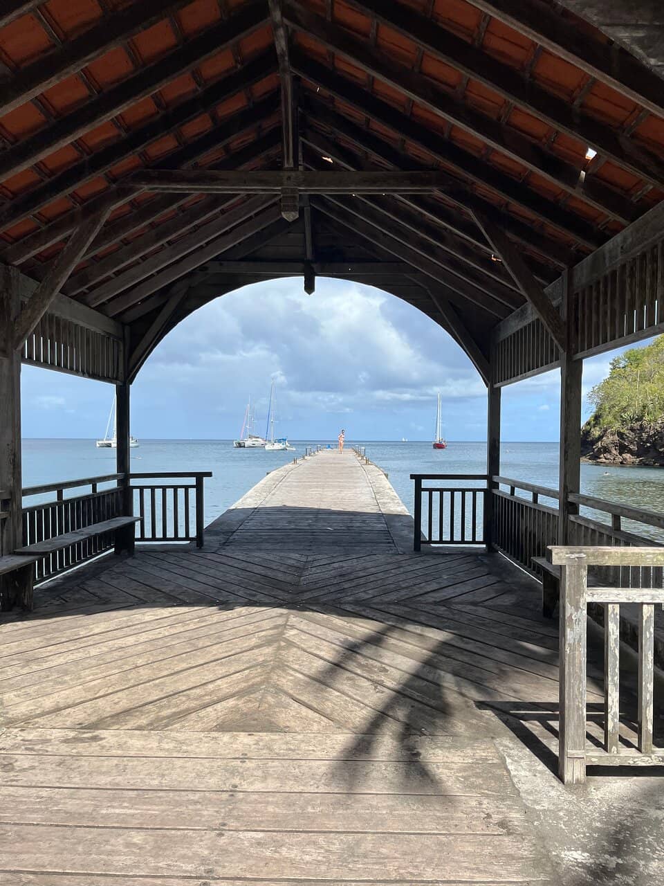 Abundant Marine Life