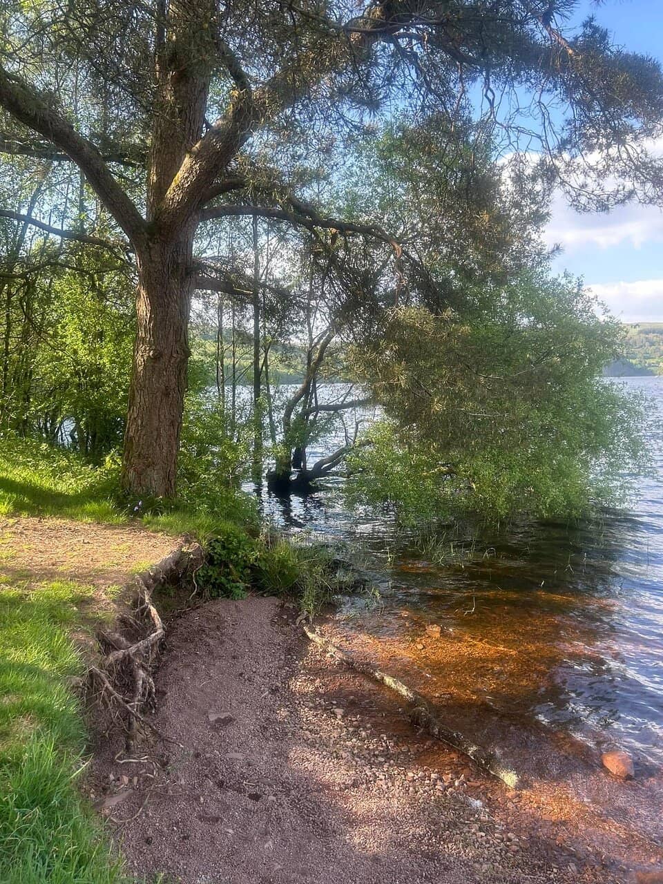 Vertical photo