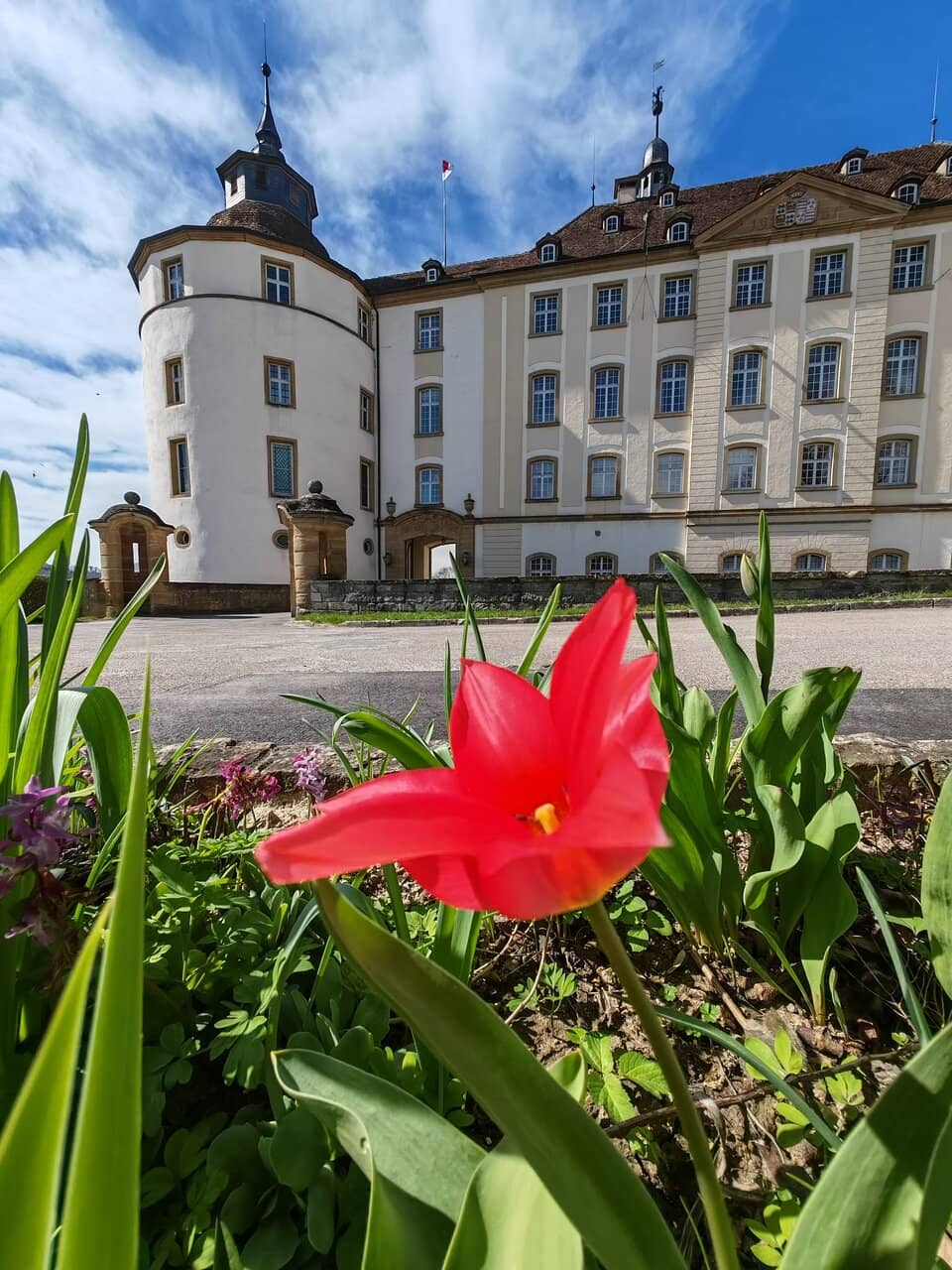 Castle Rose Garden