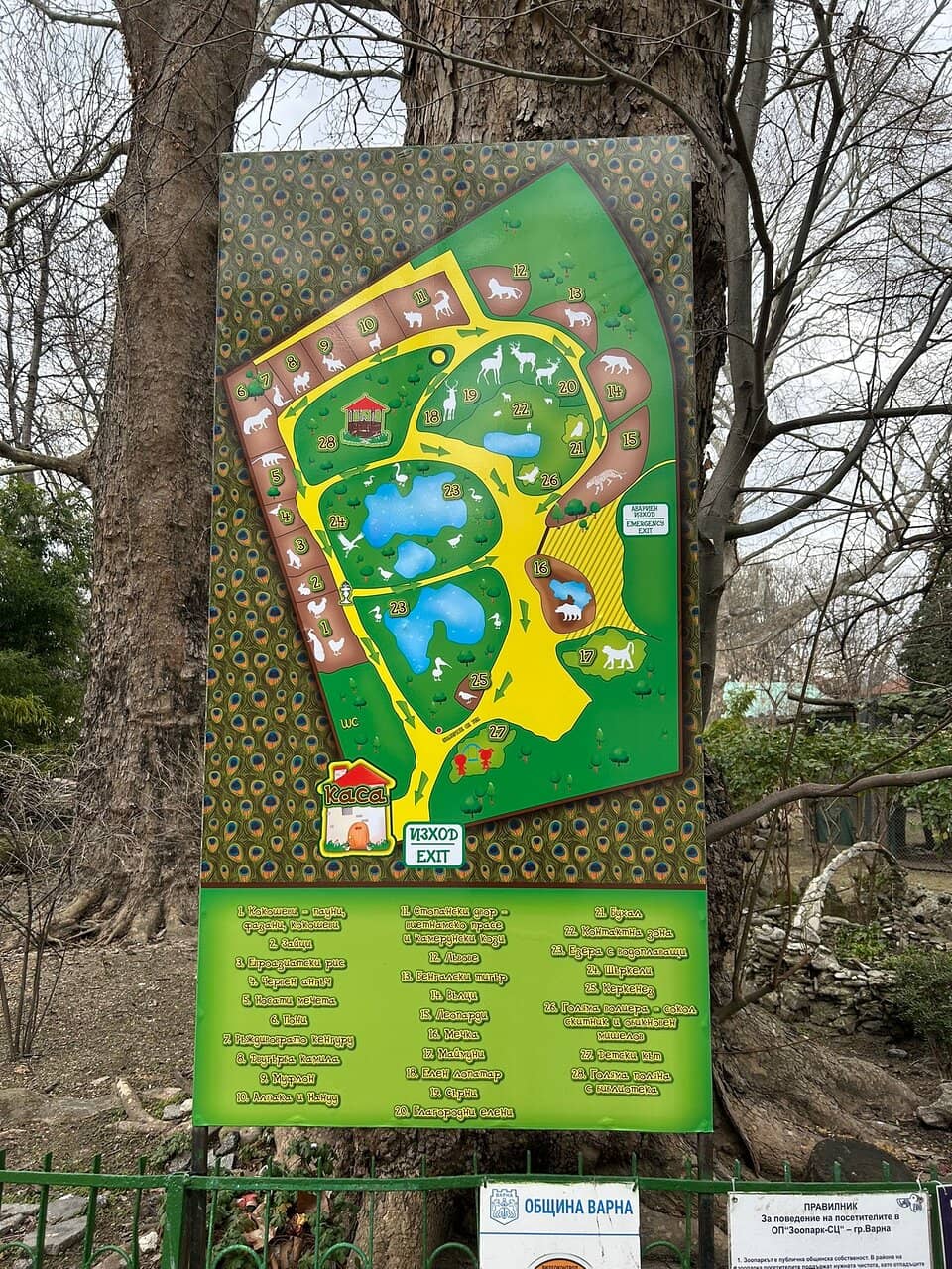 Interactive Deer Feeding