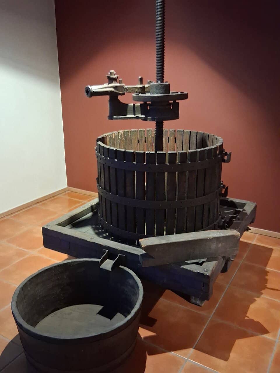 Corkscrew Collection