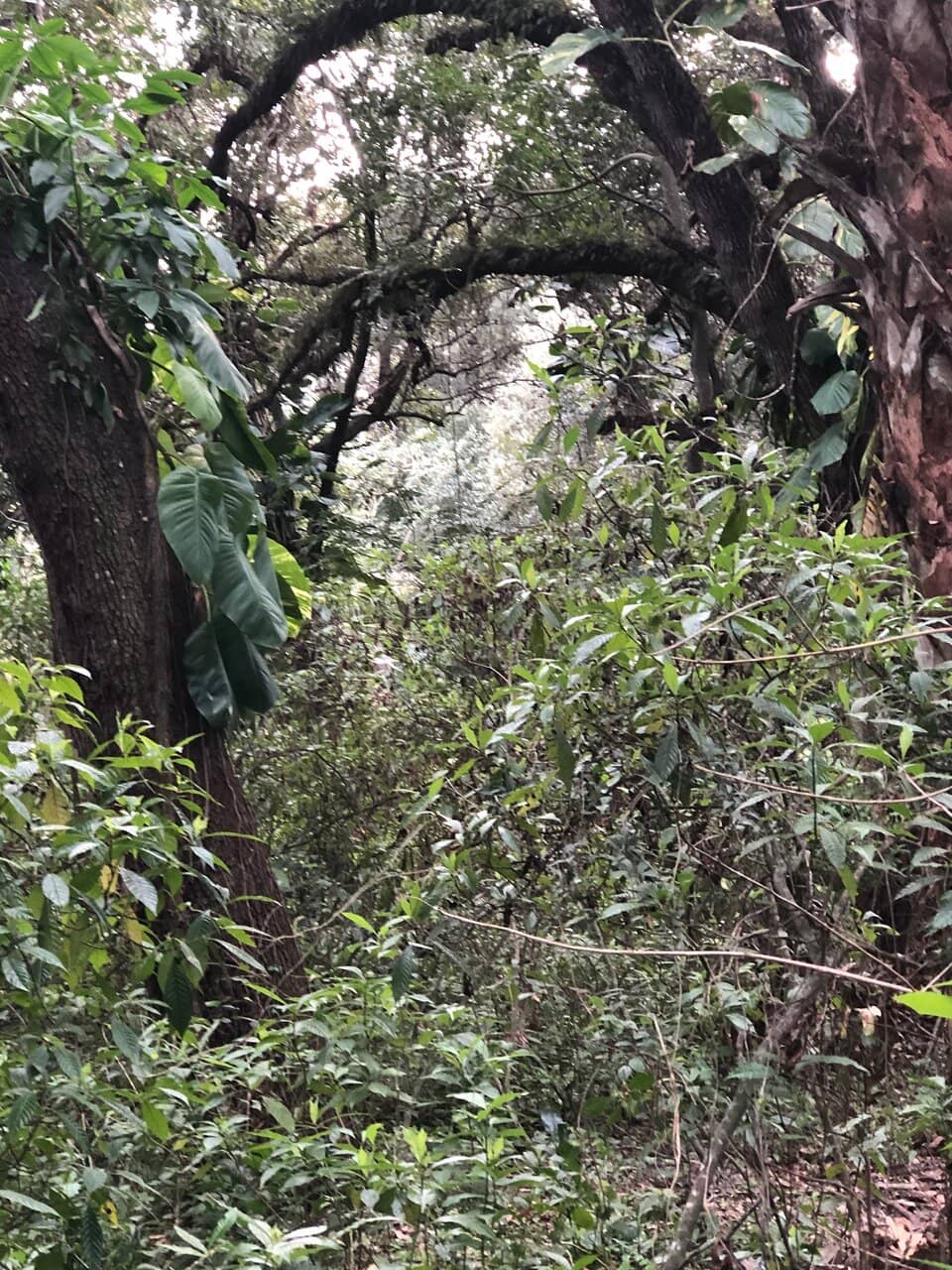 Nature Center Exhibits