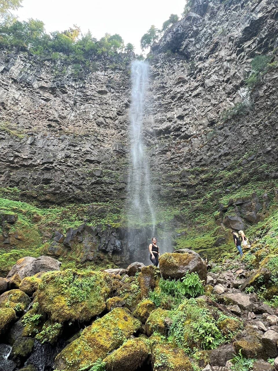 Creekside Forest Trail
