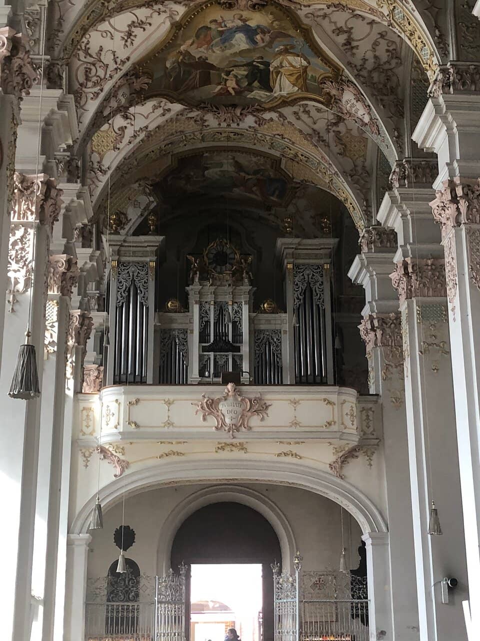 Vertical photo