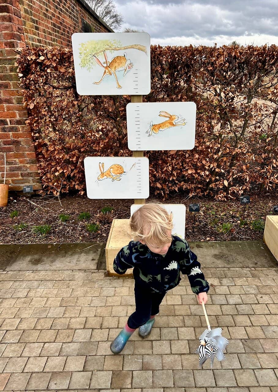 The Kitchen Garden