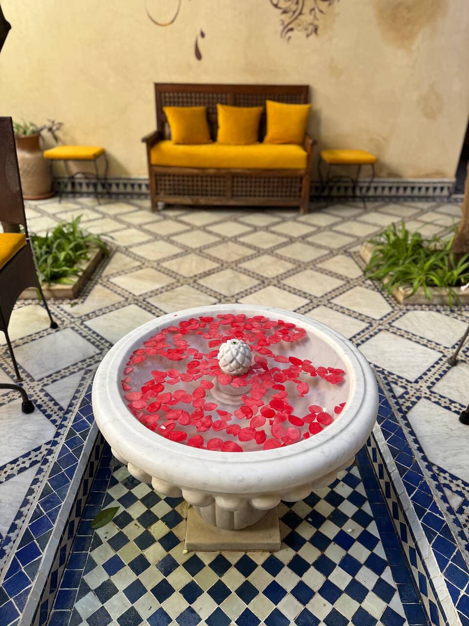 Moroccan Aromatic Plants