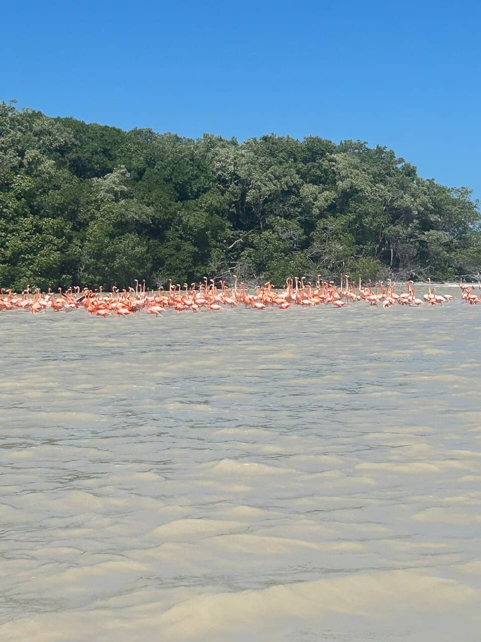 Secluded Beaches