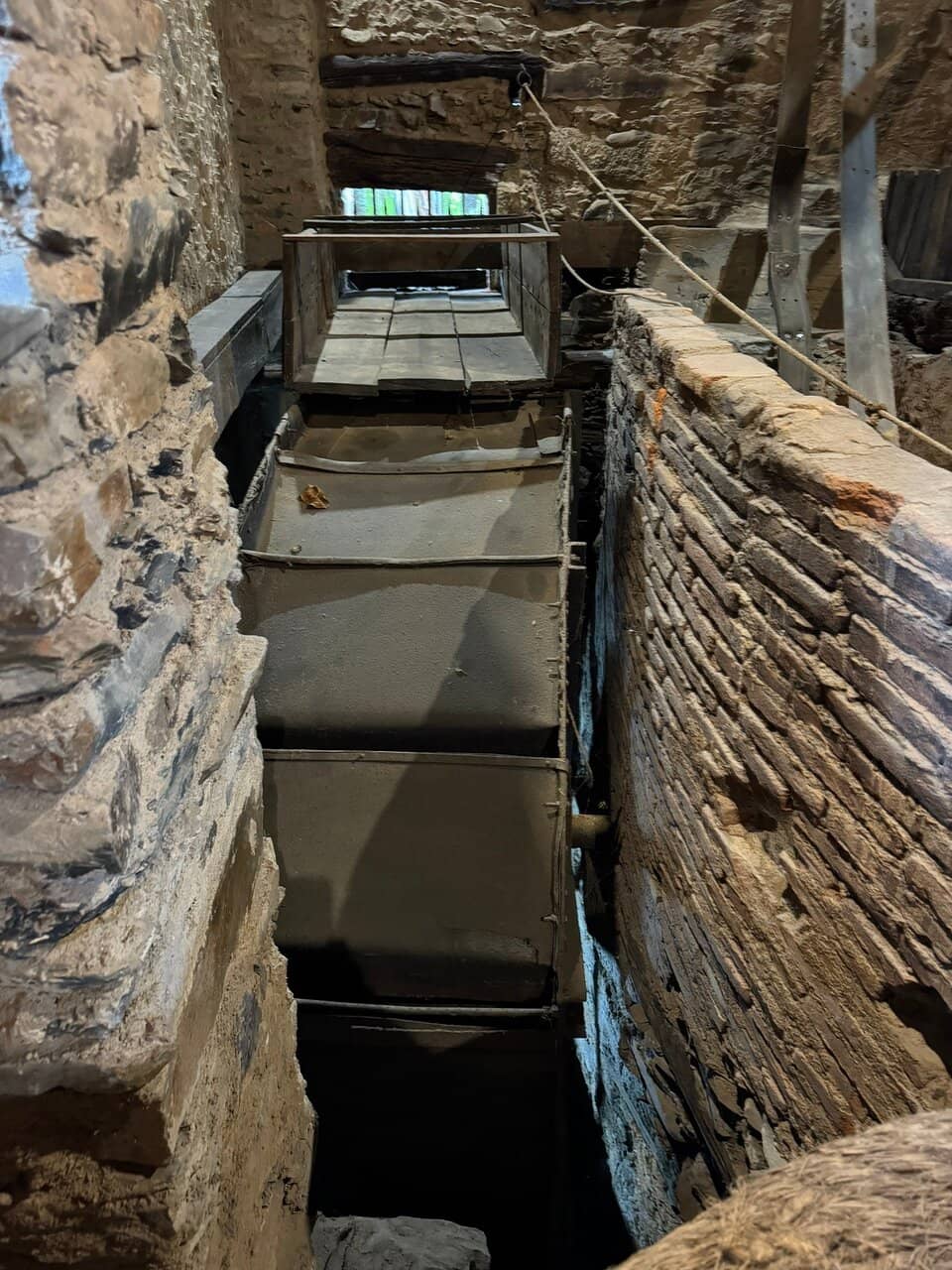 Olive Oil Tasting Experience