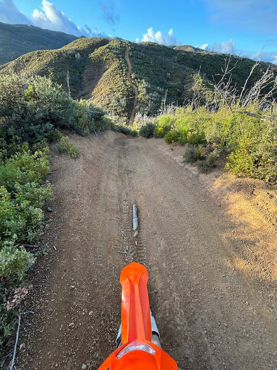 Vertical photo