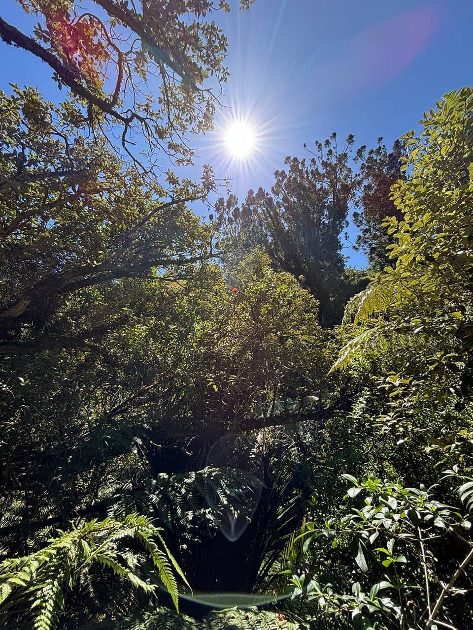 Vertical photo