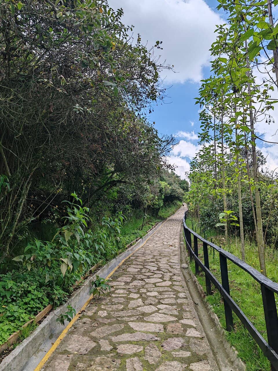 Birdwatching Opportunities