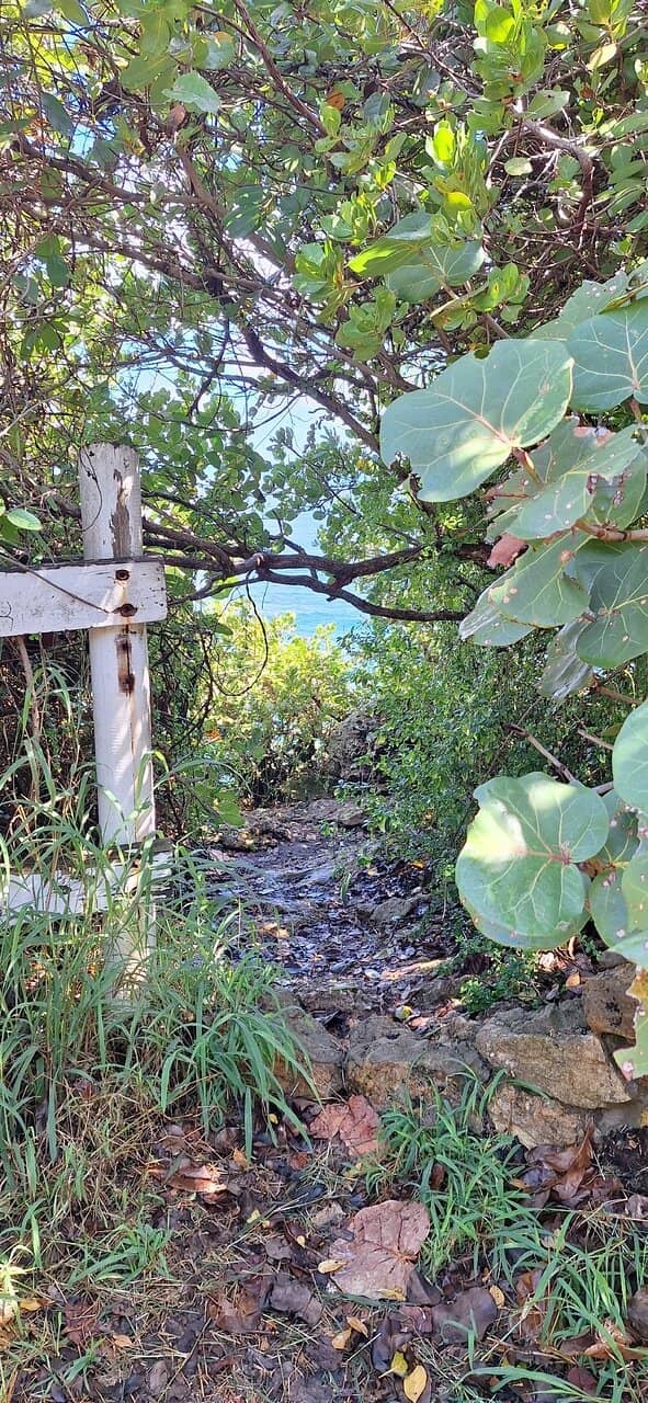 Scenic Walking Trails