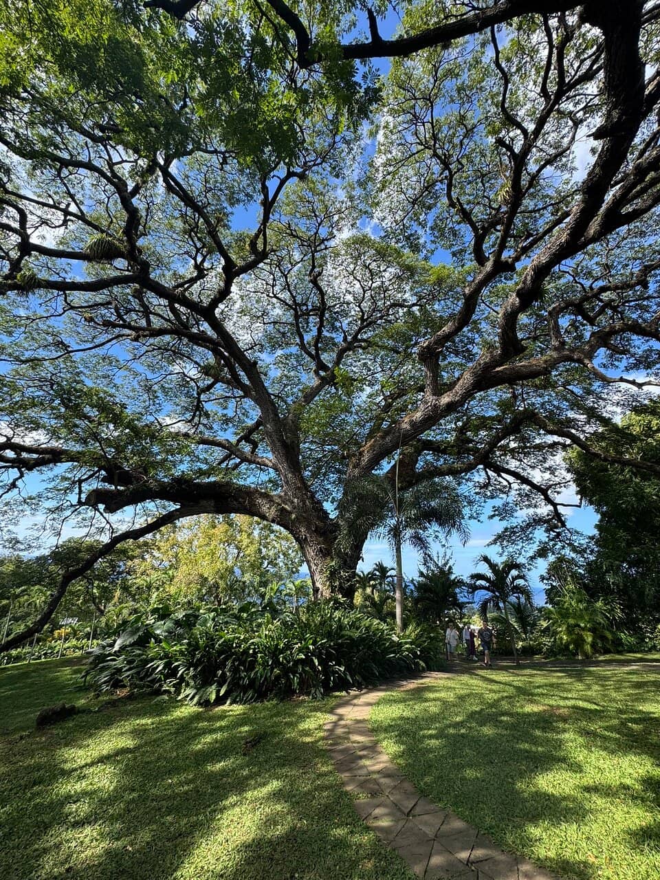 Historic Estate Grounds