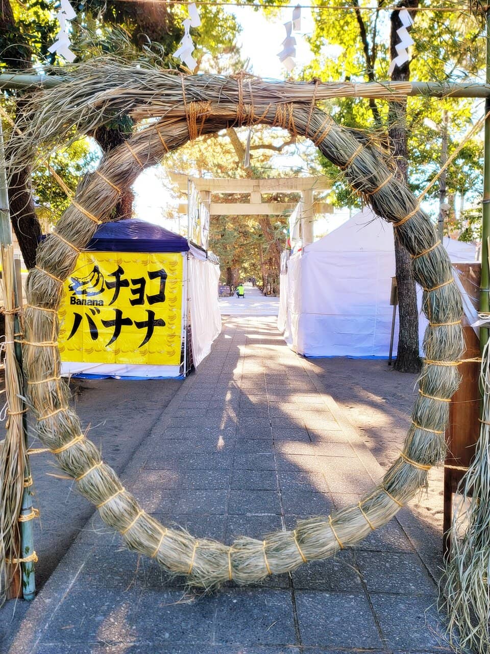 Yaezakura Cherry Blossoms