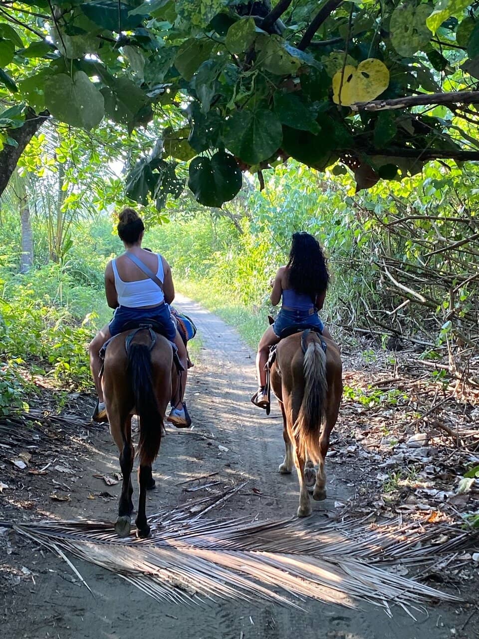 Pristine Pacific Beaches