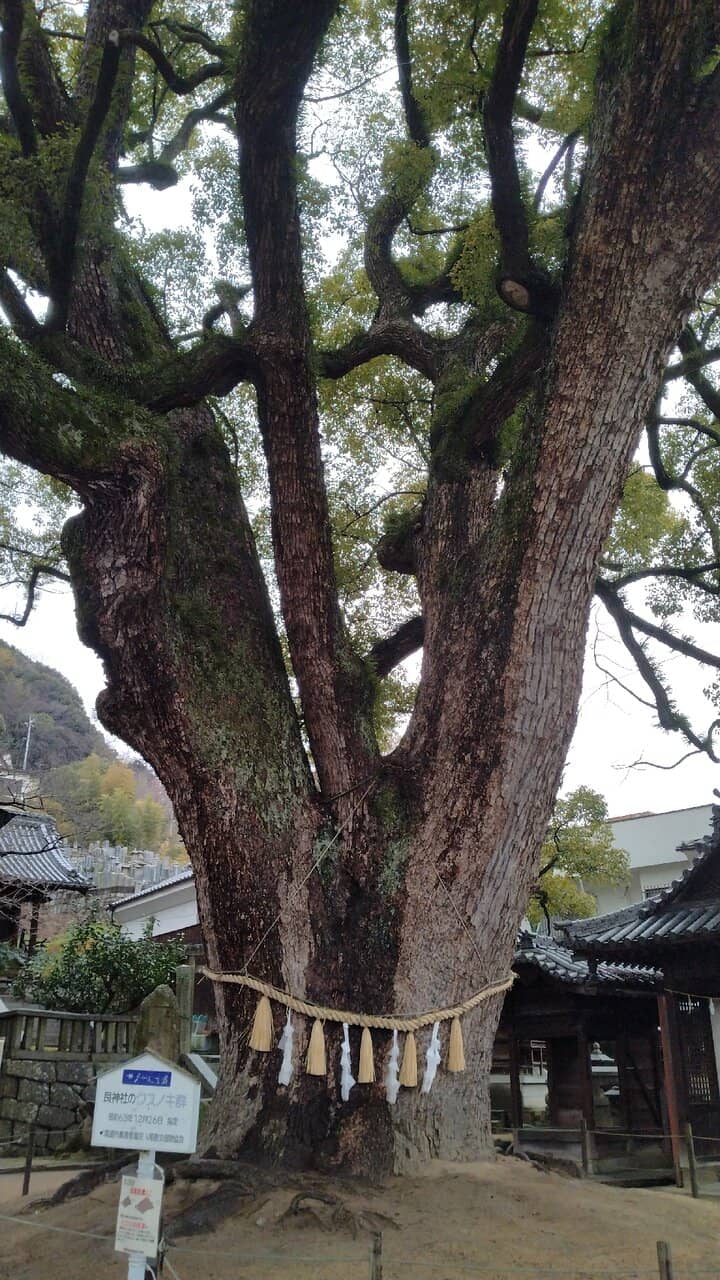 Onomichi Ropeway Views