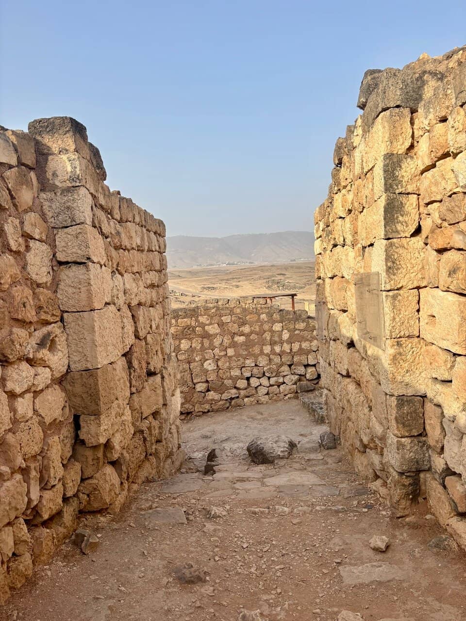 Frankincense Trade History