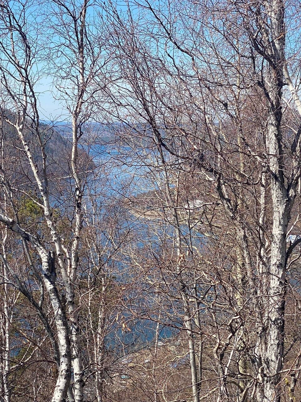Angara River Estuary