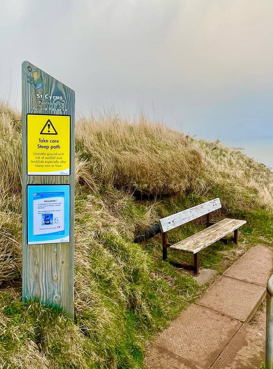 Dramatic Cliffs & Dunes