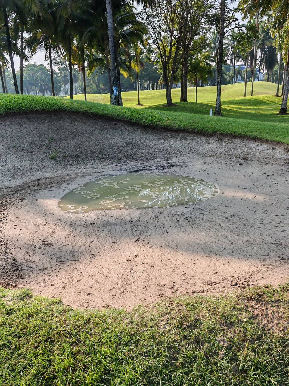 Challenging Greens