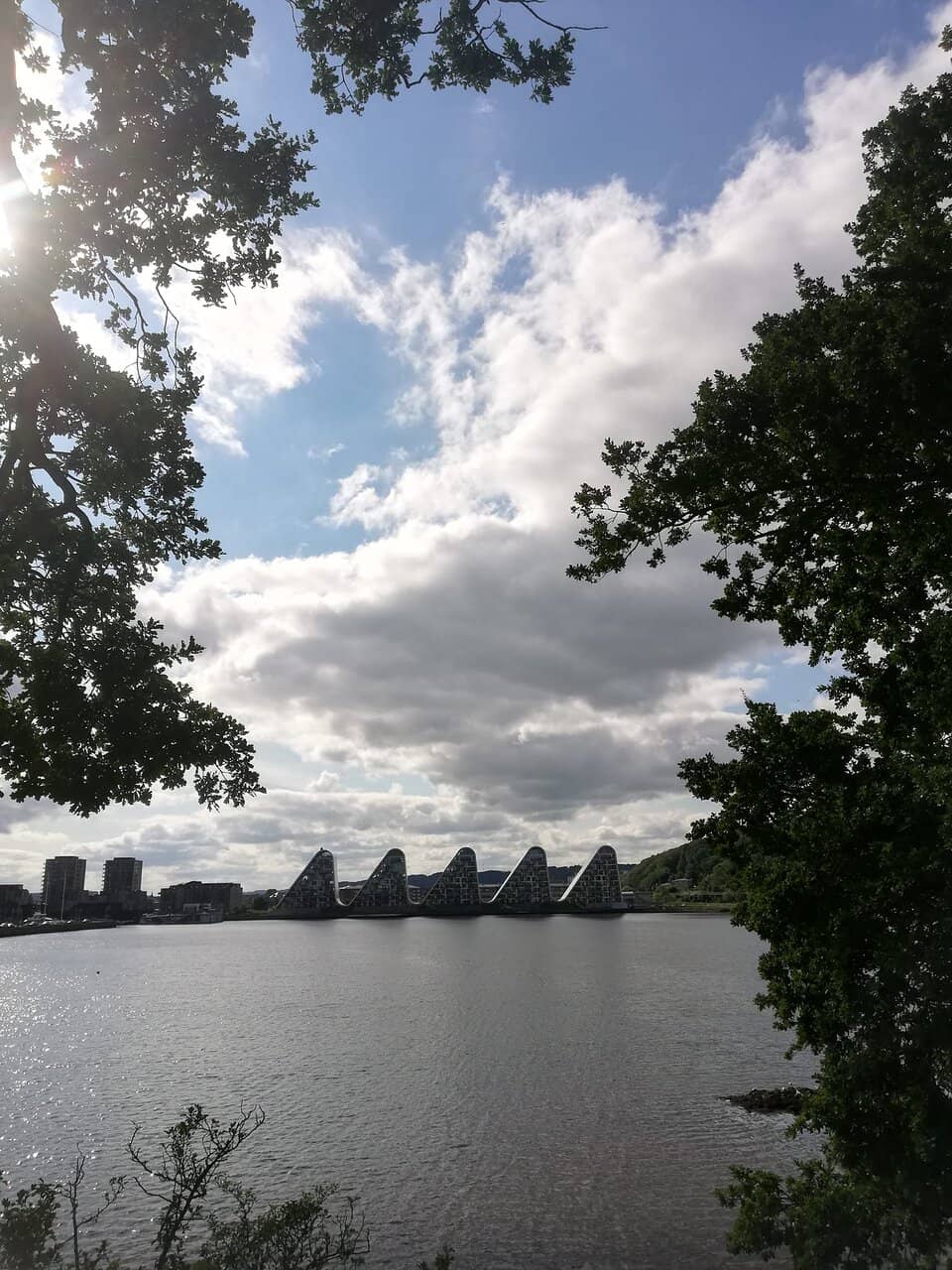 Vertical photo