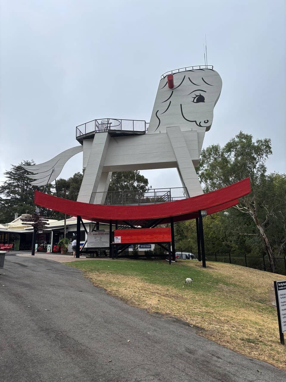 Friendly Animal Park