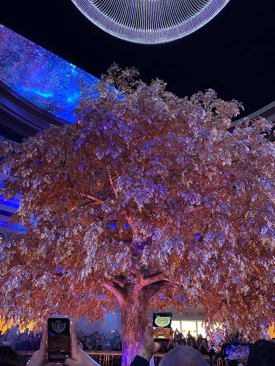 Vertical photo