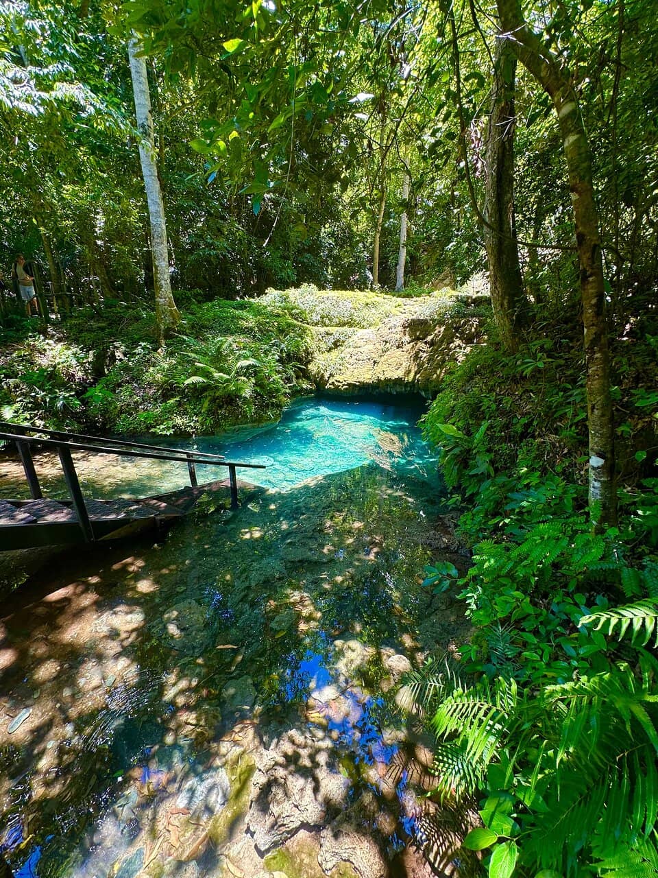 Natural Swimming Pools