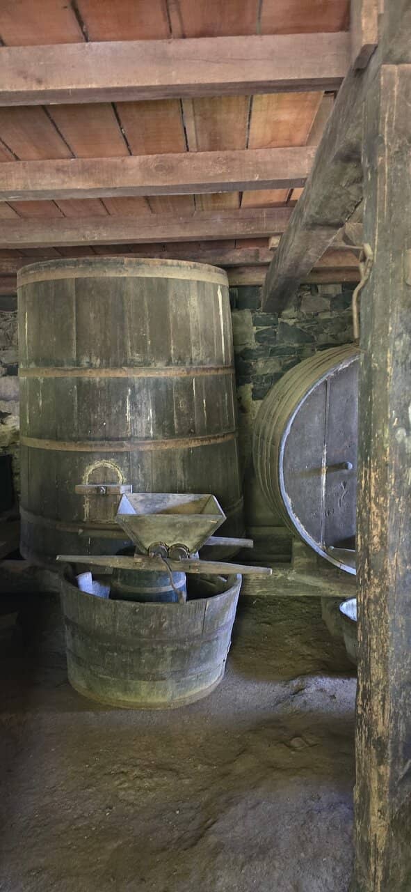 Unique Wine Selection