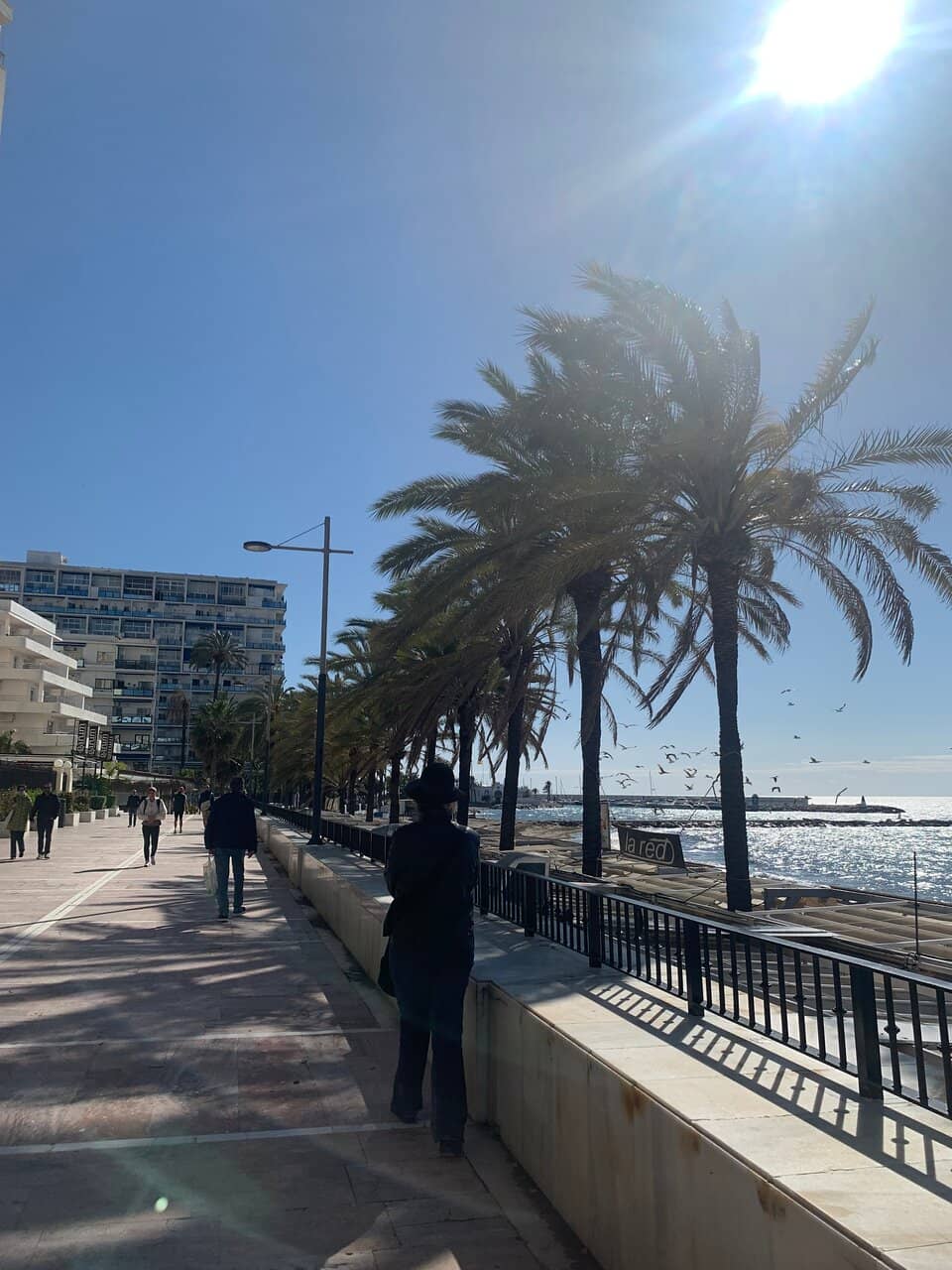 The Beach Itself