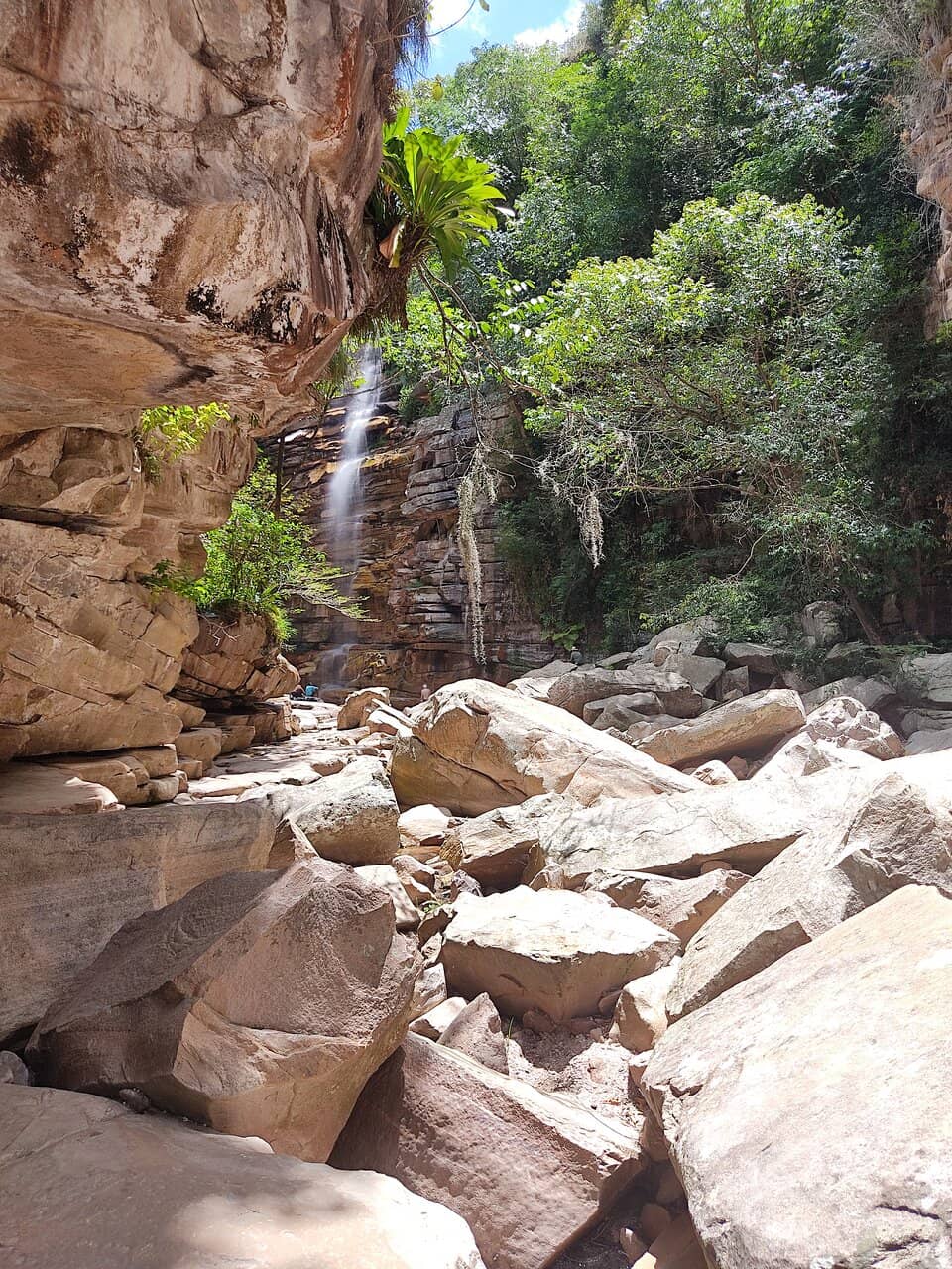 Refreshing Natural Pool