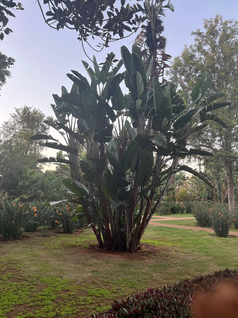Andalusian Garden