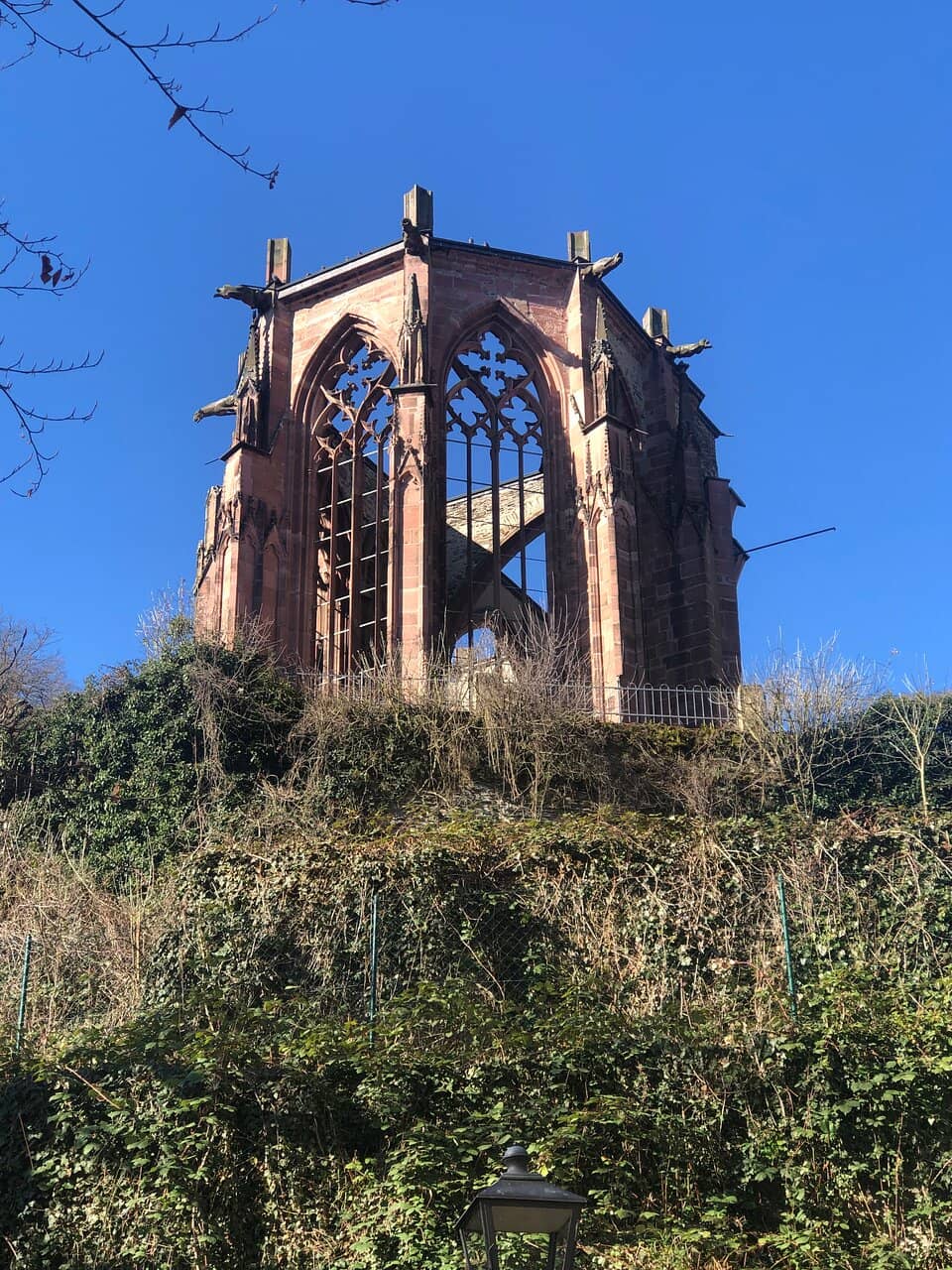 Vertical photo