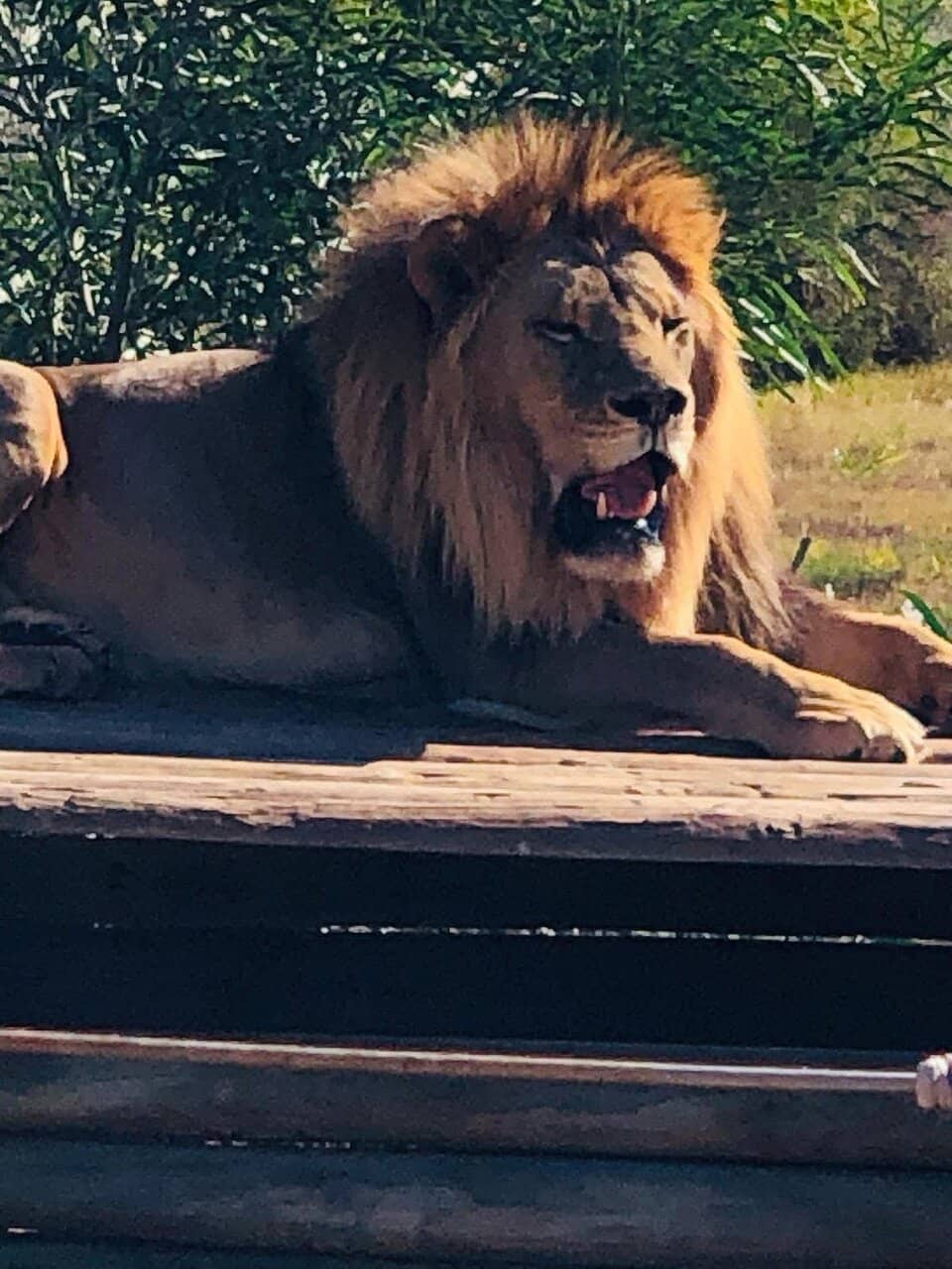 Passionate Staff and Conservation Efforts