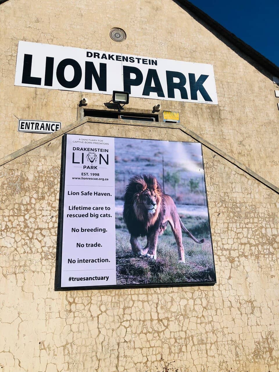 Rescued Lions and Tigers