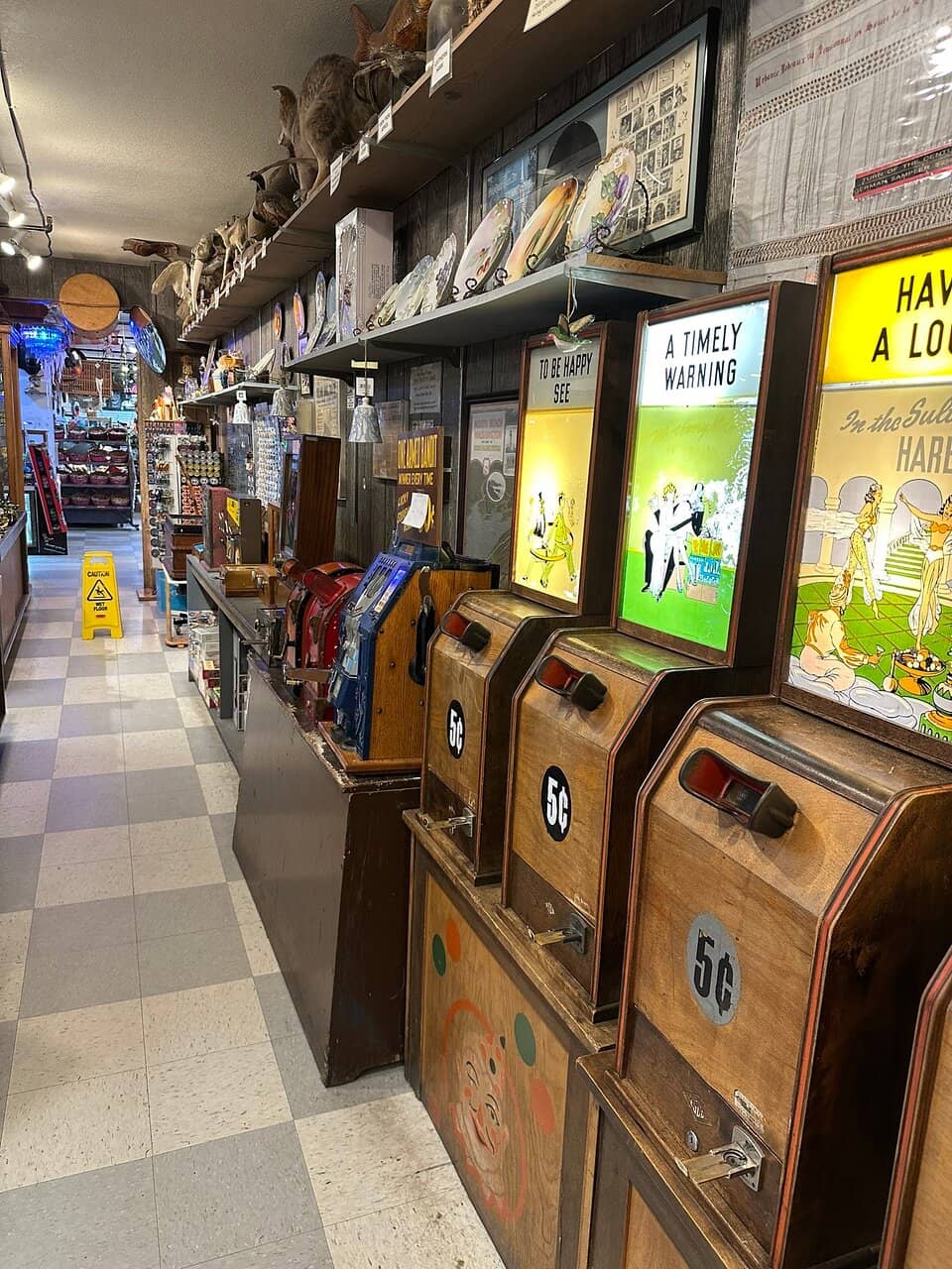 Curiosities and Antiques