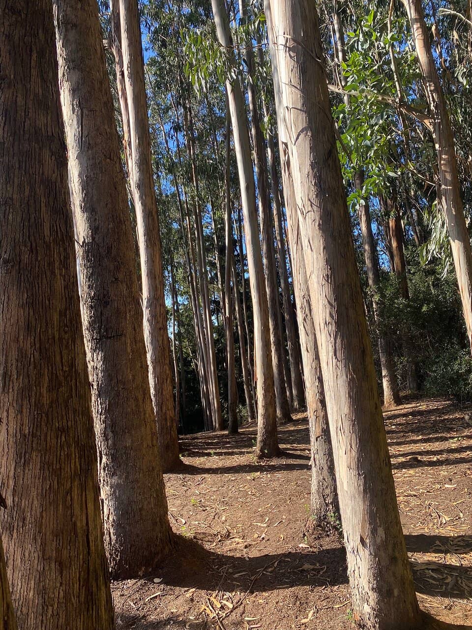 Vertical photo